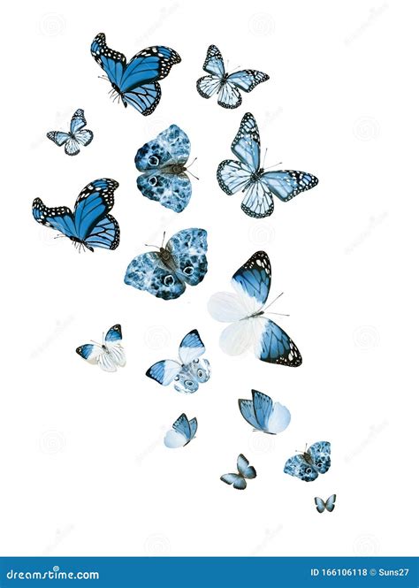 Flock Of Flying Butterflies Isolated On White Stock Photo Image Of