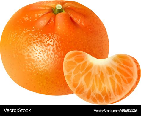 Realistic Tangerine Fruit Composition Royalty Free Vector