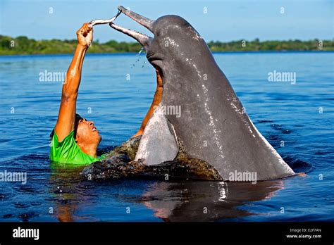 Brazil Amazonas State Manaus Amazon river basin along Rio Negro Amazon ...