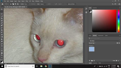 Remove Red Eye Manually in Photoshop