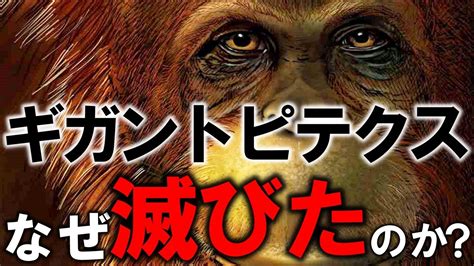 【ゆっくり解説】史上最大の霊長類ギガントピテクスの滅亡と特徴について解説【uma】【未確認生物】【歴史】 Youtube