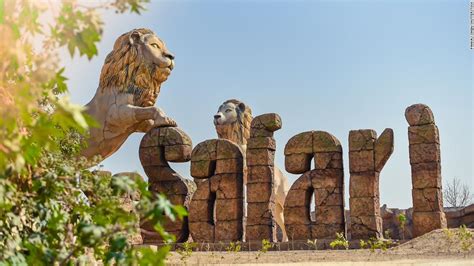 Two Lions Test Positive For Covid 19 In Indian State Uttar Pradesh Cnn