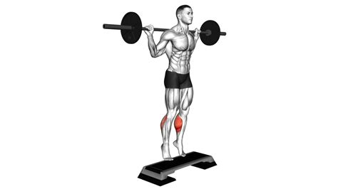 Barbell Standing Leg Calf Raise Video Guide And Tips For Stronger Calves