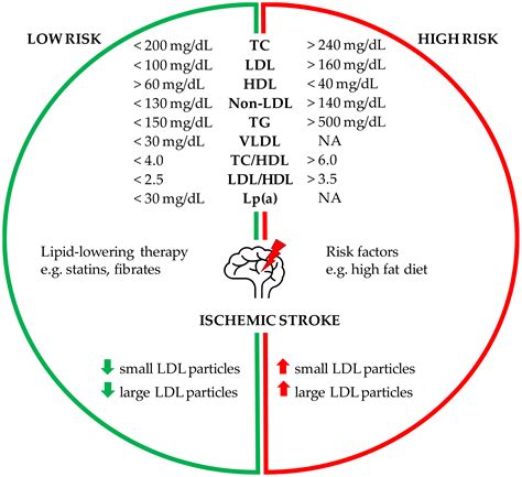 Ijms Free Full Text Lipids And Lipid Mediators Associated With The