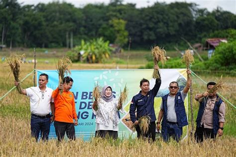 Plts Bukit Asam Ptba Dukung Pertanian Berkelanjutan Kumparan