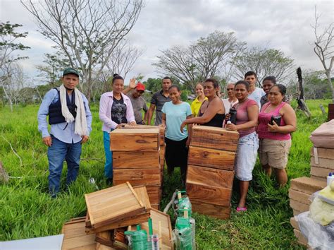 Proyecto Fortalecimiento De La Producci N Ap Cola En