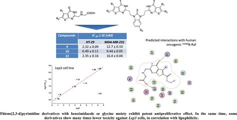 New C2 And N3 Modified Thieno 2 3 D Pyrimidine Conjugates With