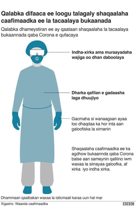 Wararkii Ugu Dambeeyay Ee Cudurka Coronavirus Ee Caalamka Bbc News Somali