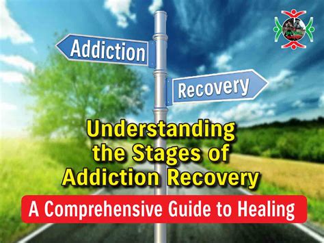 Understanding The Stages Of Addiction Recovery Pathways To Wellness