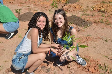 CLP Prefeitura promove plantio de 1 500 árvores no futuro Parque do