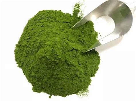 Alfalfa Leaf Powder At Rs 140 Kg Alfalfa Leaf Powder In Sojat ID