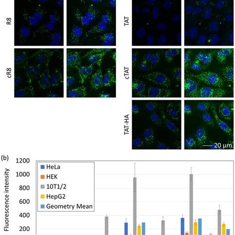 Optimization of GFP1-10 coding sequence and expression.: (2a,b)... | Download Scientific Diagram