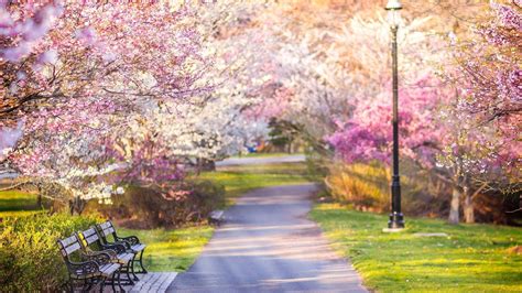 Spring Park Wallpapers - Top Free Spring Park Backgrounds - WallpaperAccess