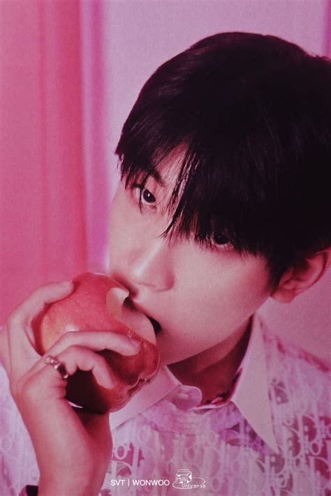 Pin By MinNnL0v On WONWOO Wonwoo Seventeen Seventeen Wonwoo