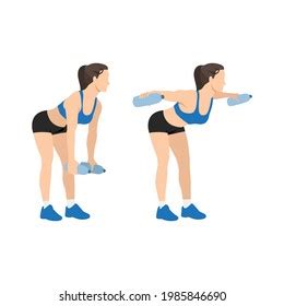 Woman Doing Reverse Plank Leg Raise Stock Vector Royalty Free