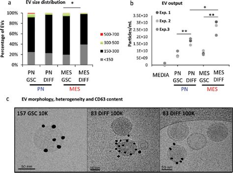 Characteristics Of Extracellular Vesicles Released By Gscs Vary As A