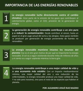 Importancia De Las Energ As Renovables Pdf