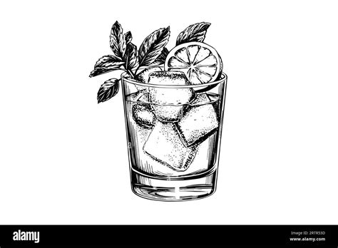 Mojito Cocktail Engraved Isolated Drink Vector Illustration Black And