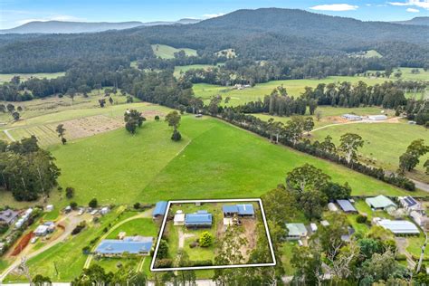 10 Tarnpirr Road Narbethong Vic 3778 Domain