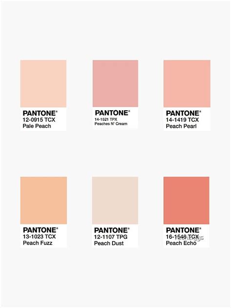 Peach Color Square Stickers Sticker By Rachziggs Pantone Colour