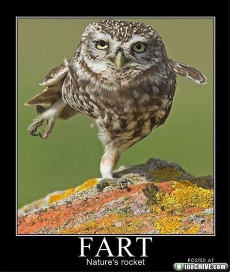 Funniest Motivational Posters Fart Natures Rocket