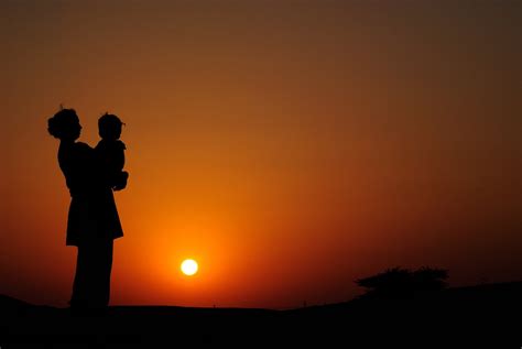 Sunset Silhouette Free Photo Download | FreeImages