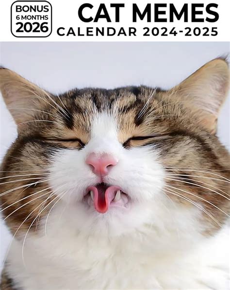 2025 Memes Calendar Jake Short