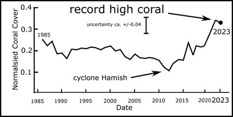 Worlds Largest Reef Secretly Recovers And Has Record High Coral Cover