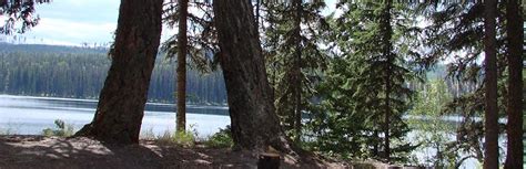 Barton Lake | Camping & RVing BC