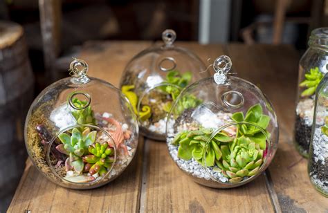 R Aliser Un Terrarium Avec Des Plantes Grasses Elle D Coration