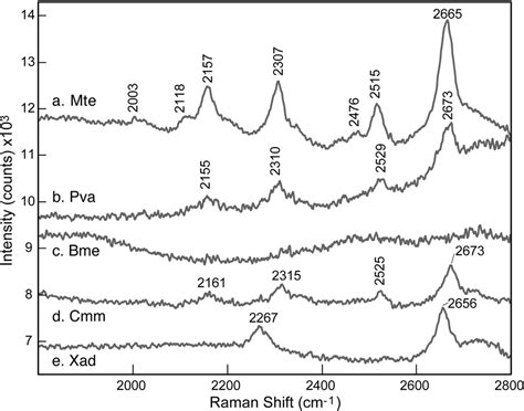 Resonance Raman Spectra In The 1800 2800 Cm À1 Region Of Bacteria Download Scientific Diagram