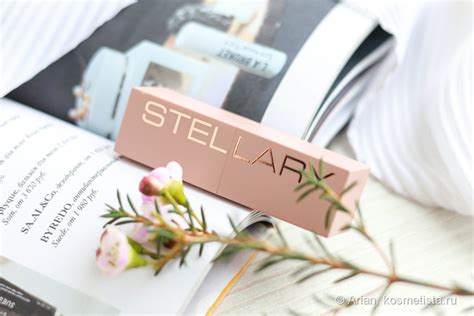 Идеальный нюд Stellary Long Lasting Lipstick 10 Perfect Nude Отзывы