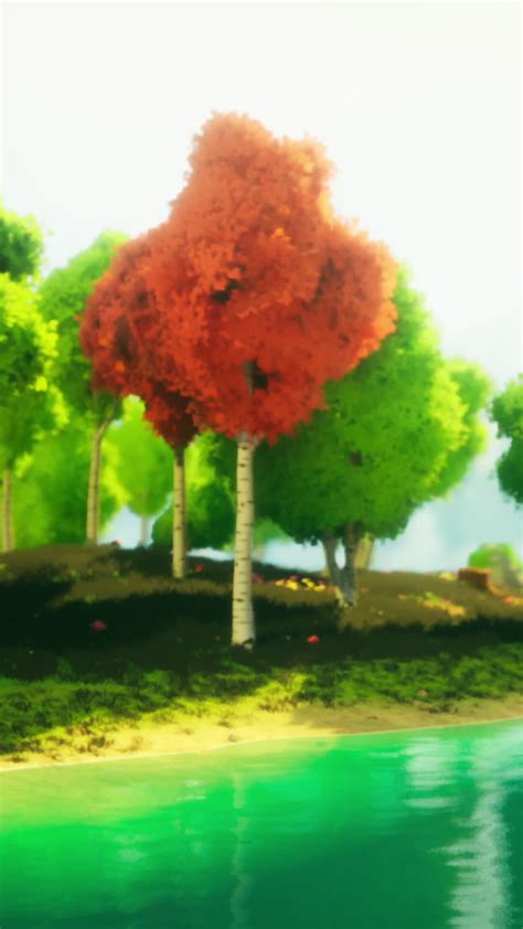 colorful cartoon forest at sunset 50090434 Stock Video at Vecteezy