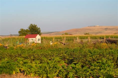 Localización de Hermisenda Huerta Natural Encinarejo de Córdoba