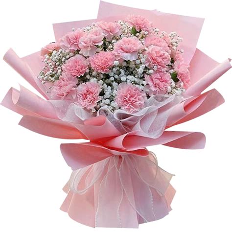 FLOWERS :: Carnations :: 20 Pink Carnations Bouquet