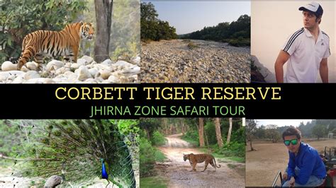 Jim Corbett National Park Vlog Uttarakhand Part Jhirna Zone Safari