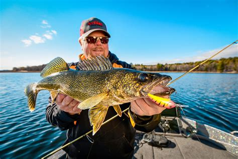 Spring River Walleyes On Crankbaits Northland Fishing Tackle