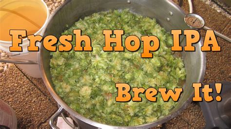 Fresh Hop Ipa Cascades Homebrew