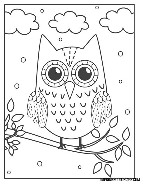 10 Coloriage Chouette A Imprimer Haut Coloriage Hd Images Et Images