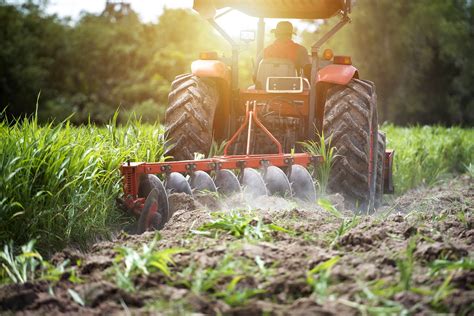 Control De Calidad Del Cultivo Del Suelo Y La Siembra De Semillas