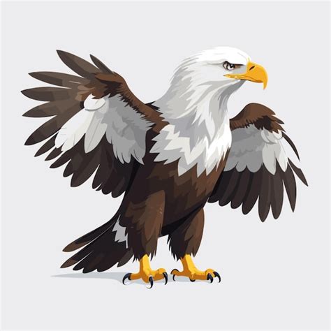 Premium Vector Bald Eagle Vector On White Background