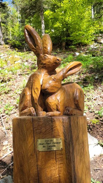 lamboing mont sujet la juju