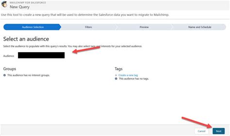 Mailchimp To Salesforce Integration Setup Sync Contacts Blu Ninjas