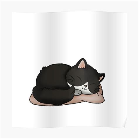 "Sleeping Fluffy Tuxedo Cat" Poster for Sale by Zephyr-Studio | Redbubble