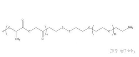 Plga Ss Peg Plga 聚丙交酯乙交酯共聚物 双硫键 聚乙二醇 聚丙交酯乙交酯共聚物 知乎