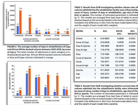 Release Rates Of African White Backed And Cape Vultures From To