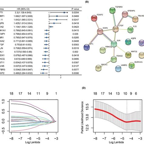 Screening Of Prognosisrelated Genes And Identification Of The 10gene