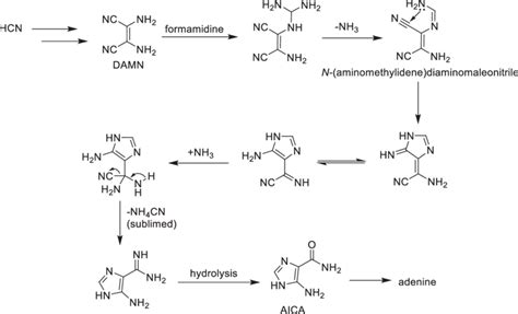 Synthesis Of Adenine Via Hcnpentamer Intermediate Suggested By Shuman