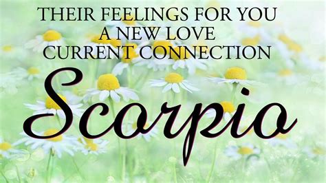 Scorpio Love Tarot ♏️ This Person Will Try To Fix This Situation