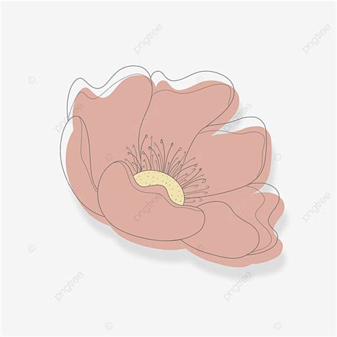 Aesthetic Daisy Flower With Abstract Line Art Daisy Flower Icon